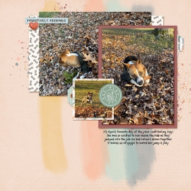 2023-11-April-Leaves-sm.jpg