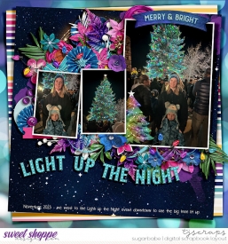 2023-11-Light-up-the-nightSB.jpg