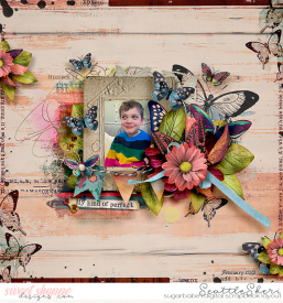 20230210_YOUGIVEMEBUTTERFLIES_750.jpg