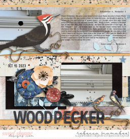2023_10_15-woodpecker-take-two-alchemywildstudio-comfortingcompanion4-tp.jpg