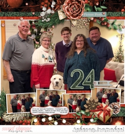 2023_12_24-christmas-photo-fdd_PicturesquePerfection_tp3.jpg