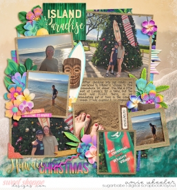2023_12_Hawaii_Christmas-babe.jpg