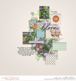 2023_6_In_bloom-babe.jpg