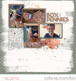 2023_8_15-box-of-pennies-jphil_scraplikethis20-3.jpg