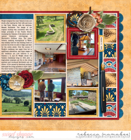 2023_8_8-Taliesin-cschneider-palooza344right.jpg