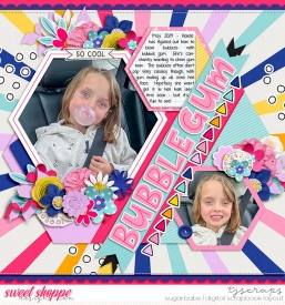 2024-05-BubblegumSB.jpg