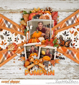 20241109_PumpkinPatchAdventure_434_.jpg