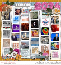 2024_12_11-year-in-review-cschneider-2024recapV2left.jpg