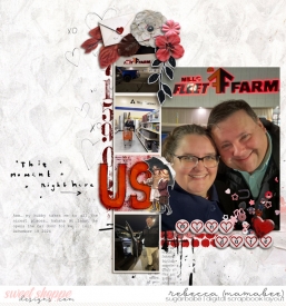 2024_12_18-fleet-farm.jpg
