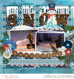 2024_1_9-j-snow-blowing-cschneider-HP438pg2.jpg