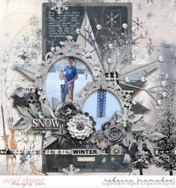 2024_1_9-ready-for-snow-tnp-STARRYNIGHT-pd3.jpg
