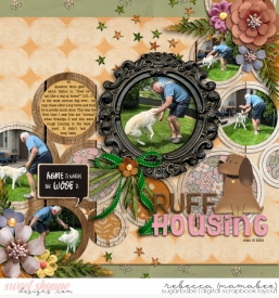 2024_6_13-ruff-housing-cschneider-HP431pg1.jpg