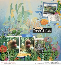 2024_7_Wacky_Tropical_Fish-babe.jpg