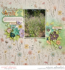 2024_8_Nature_Walk-babe.jpg