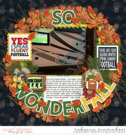 2024_9_8-football-fall-cschneider-TP132pg1.jpg