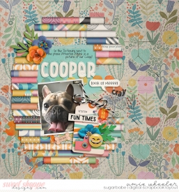 2025_3_Cooper-babe.jpg
