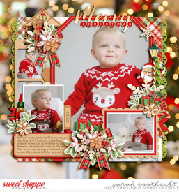 20Set294ChristmasJoyVisitingSantaweb.jpg