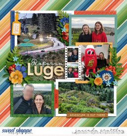 21-01-05-Rotorua-Luge-700b.jpg