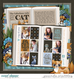 21-056-01-Cat-story-700b.jpg