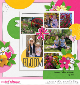 21-09-20-Bloom-700b.jpg