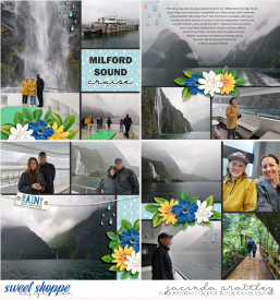 21-12-19-Milford-Sound-5-700b.jpg