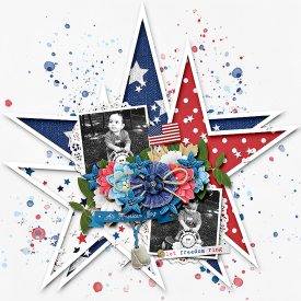 21-ab-glee-starsandstripes.jpg