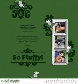 22-02-11-So-Fluffy-700b.jpg