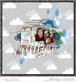220213_lsjx_aftertherain-copy.jpg