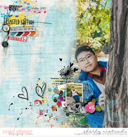221022_j_limitededition-copy.jpg