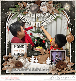 221120_ljx_merryhome-copy.jpg