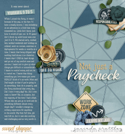 23-03-09-Not-just-a-paycheck-700b.jpg