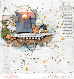 230304_sun_w4ts-copy.jpg
