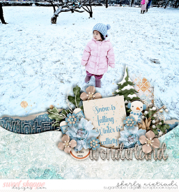 231211_x_winterwonders-copy.jpg