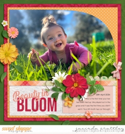24-04-28-Bloom-700b.jpg