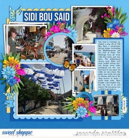 24-06-28-Sidi-Bou-Said-700b.jpg