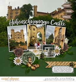 24-07-10-Hohenschwangau-Castle-1-700b.jpg
