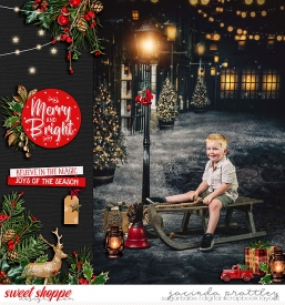 24-11-18-Merry-and-Bright-700b.jpg
