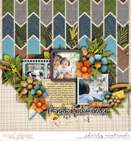 240705_lx_bbg4-copy.jpg