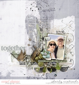 240824_ls_ccopp-copy.jpg
