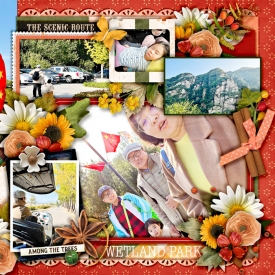 241004_lsjx_cinnamonspice-r.jpg