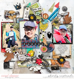 241016_j_trinket-copy.jpg