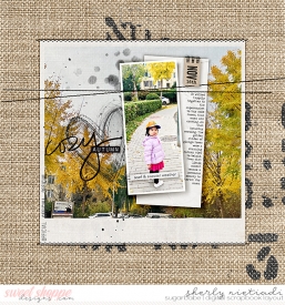 241116_x_prdbits-copy.jpg
