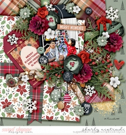 241120_jx_ayrdec-copy.jpg