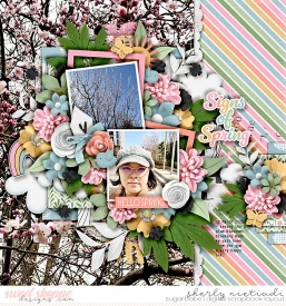 250312_s_sos-copy.jpg