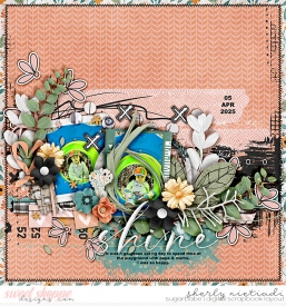 250405_x_ycb-copy.jpg