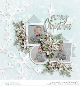 25Miscellaneoustemplate48HomeForChristmasMistletoeAvenueweb.jpg
