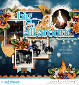 29EverydaySingle66ACampfireTaleAroundTheCampfireweb.jpg