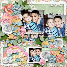 3-22_hs_fdd_tp2-RR_signsofspring.jpg