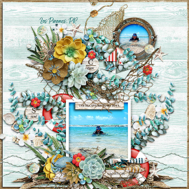 30-lp-ljs-downtheshore.jpg