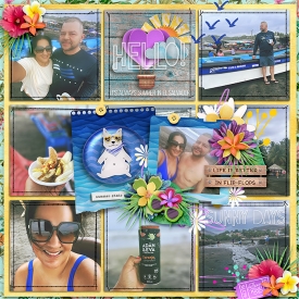 6-1_sa-marnel_SD-SunKissed-template04_copy.jpg